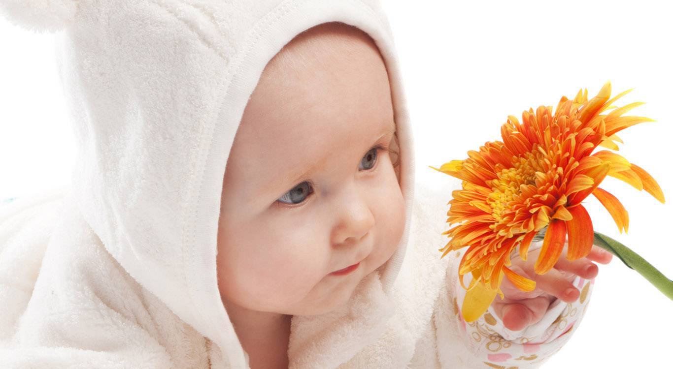 Zašto bebe tako dobro mirišu (VIDEO)